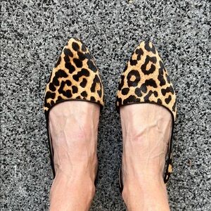 Franco Sarto Leopard Print Flats with Bronze Accents